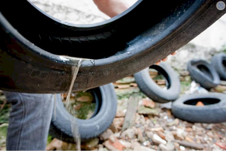 Em 24h, Minas Gerais confirma mais 7.083 novos casos de dengue