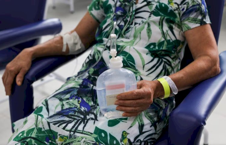 Minas registra mais quatro mortes por dengue em 24 horas; total chega a 49