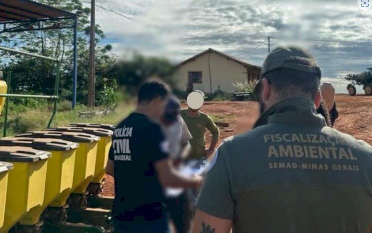 Fazendas de MG desmatavam áreas preservadas para produzir carvão, conclui PCMG