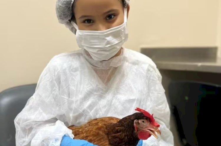 Menina recebe visita de sua galinha de estimação em hospital de BH