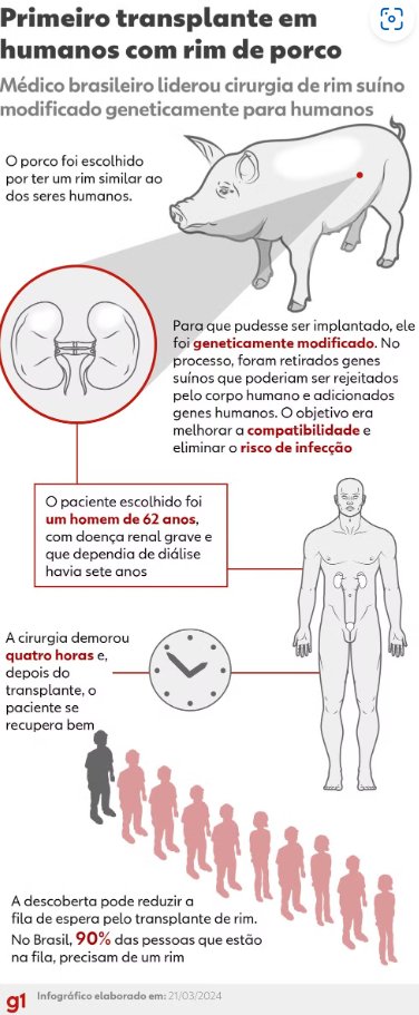 Médico brasileiro comanda o 1º transplante de rim de porco para um humano, nos EUA