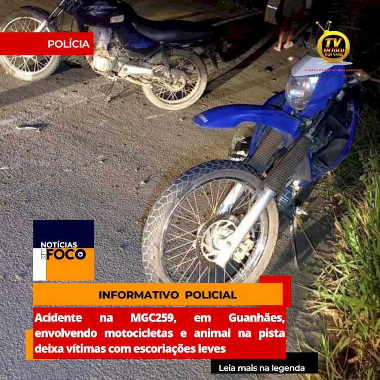 Acidente na MGC259 envolvendo motocicletas e animal na pista deixa vítimas com escoriações leves