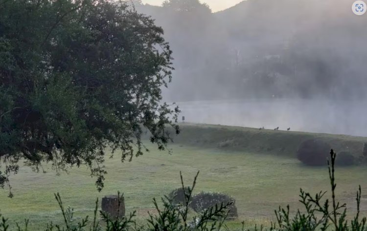 Frio em MG? Cidade mineira registra a menor temperatura no Brasil