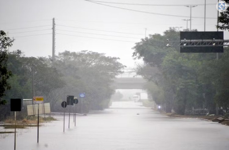 RS chega a 7 mortes e 141 casos confirmados de leptospirose após cheias, diz Secretaria da Saúde