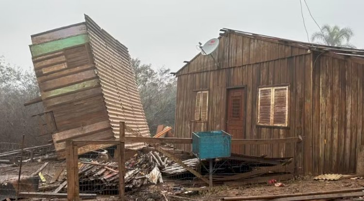 Casas 'viradas', arrastadas pela água e parede sobre árvore: veja como ficou Triunfo após enchente no RS