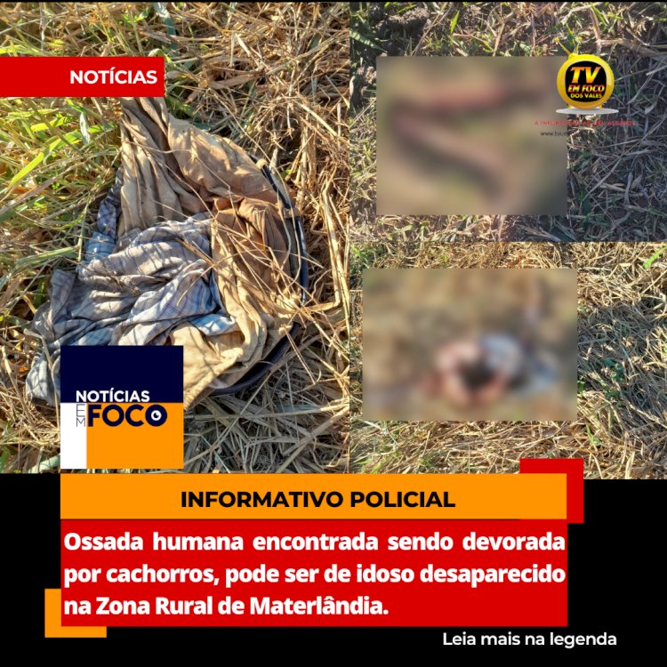 Ossada humana encontrada sendo devorada por cachorros, pode ser de idoso desaparecido na Zona Rural de Materlândia.