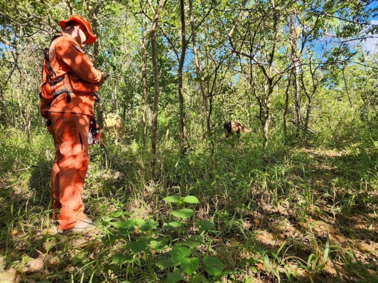 Idoso de 84 anos está desaparecido em Pains após entrar em região de mata atrás de animal