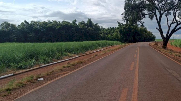 Mesmo na cadeirinha, criança de 2 anos morre após carro sair da pista e capotar em canavial na MGC-464