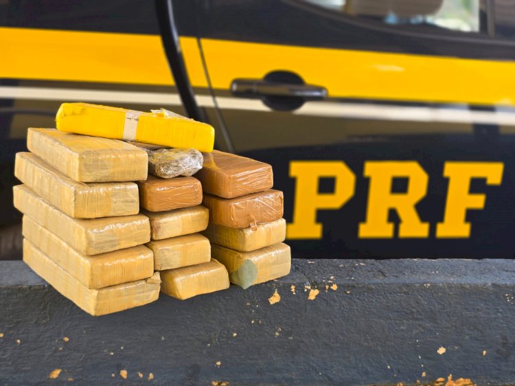 PRF apreende drogas e prende motorista em Rio Casca (MG)