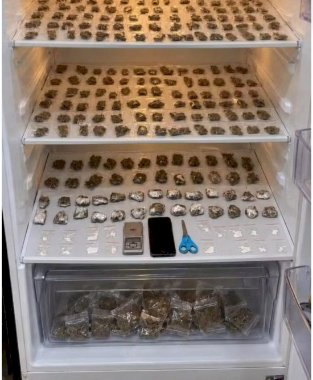 Após denúncia, PM encontra 192 porções de maconha escondidas dentro de geladeira, em Várzea da Palma